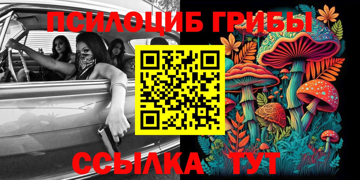Новошахтинск  Галлюциногенные грибы GOLDEN TEACHER  Галлюциногенные грибы Cubensis  Вход с VPN 